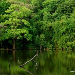 manchinebele dam